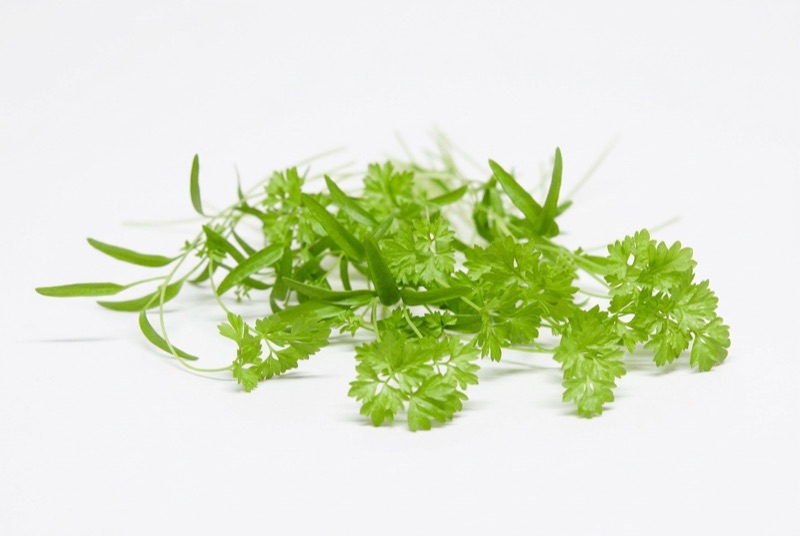 Fresh chervil