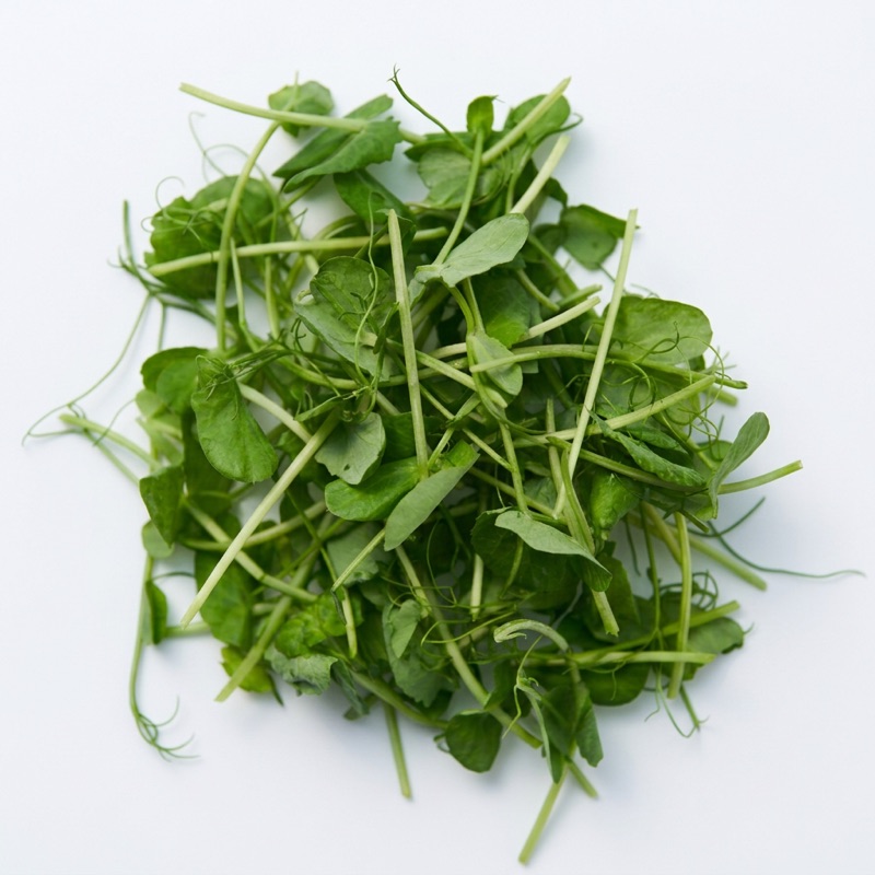 Fresh pea tendrils